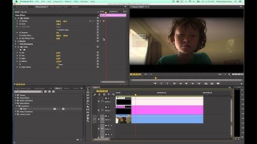 Tutorial Adobe Premiere Pro CC - Episode 21 - Eyelids Opening and Focusing