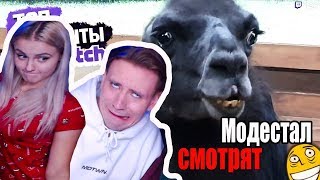 Модестал Смотрит Топ Моменты с Twitch | Нашли Валакаса в Зоопарке | Спалила Гугл Запросы