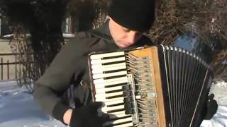 Obezyanka Nol' Обезьянка Ноль Monkey Zero   t A T u cover on the accordion