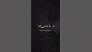 آية الكرسي بصوت هادئ #قرآن #القرآن_الكريم #القرآن #اية_الكرسي #تلاوة #تلاوة_خاشعة #الهدوء #الله