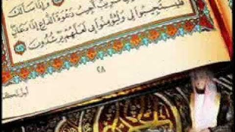 تلاوة باكيه سورة الفجر _ الشيخ هاني الرفاعي