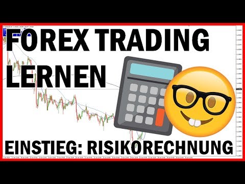 Forex Trading Lernen Einstieg Risikoberechnung Pip Und Lot - 