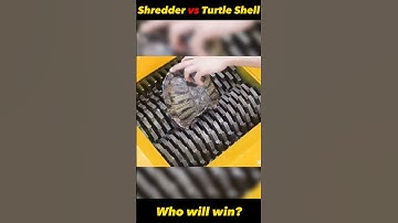 Shredder vs Turtle Shell 🐢 #shorts #hydraulicpress #misterfact