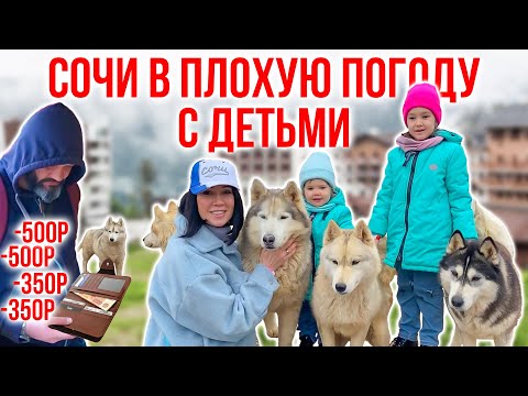 Сочи с детьми в плохую погоду \\ Отдых с детьми \\ Что посмотреть в Сочи \\ Куда сходить в Сочи