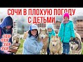 Сочи с детьми в плохую погоду \ Отдых с детьми \ Что посмотреть в Сочи \ Куда сходить в Сочи