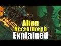 Dead Space 3 Alien Tau Volantis Necromorphs Explained | City, Language, History, Lore and Morphology
