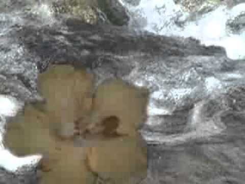 Валик Тедеев МОЙ БОГ Видео Mail Ru Mp4