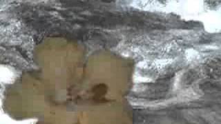 картинка: Валик Тедеев - МОЙ БОГ — Видео@Mail.Ru.mp4