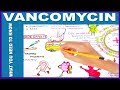VANCOMYCIN - What You Need to Know