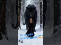 #Der schwarze Löwe und das schöne Mädchen#❄️