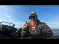 The Walleye Files Un-Hooked Smallmouth Beatdown