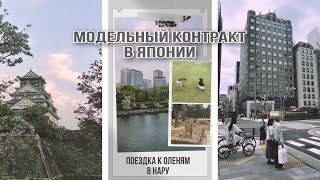 ВЛОГ 10: Приехала на модельный контракт в Японию | обзор модельных апартаментов | поездка в Нару