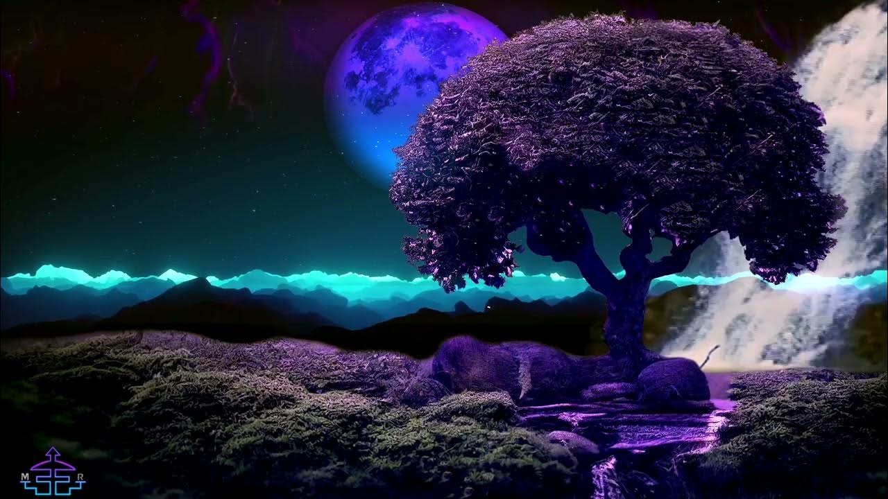Muzyka Relaksacyjna Szum Morza śpiew Ptaków Muzyka Relaksacyjna sen- wyciszenie Muzyka do snu uspokojenie💙 Szum