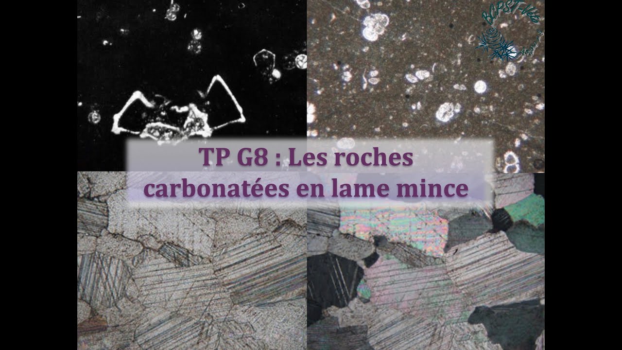TP G8 : Les roches carbonatées en lame mince - YouTube