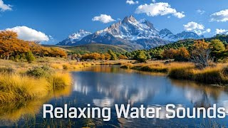 Chile Ambient Stream White Noise | Water Ambience | Stream Sounds Ambience | Relax Study Sleep by AmbienceMusic 57 views 1 month ago 1 hour