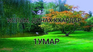 Ислам, динах кхардар / 1умар.