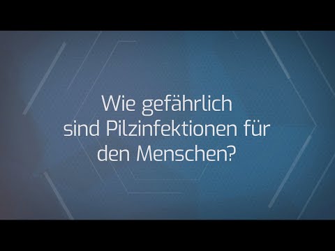 Video: Pilzinfektion (Ringworm) Bei Frettchen