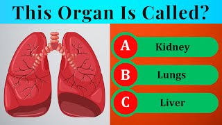 Guess the Organs |General Knowledge Quiz About Human Body by QuizzoRama 14 views 3 months ago 8 minutes, 4 seconds