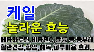 [케일 효능] 