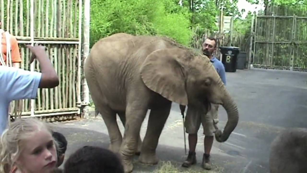 Louisville Zoo May 2009 - YouTube