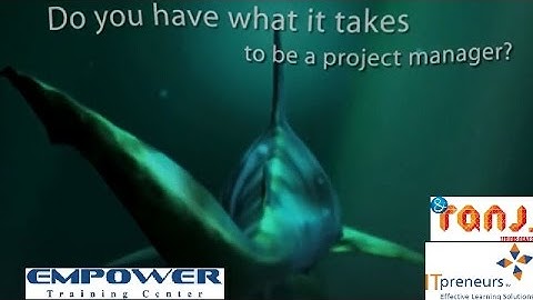Sharkworld - A Project Management Game