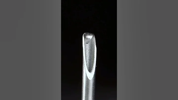 Sustainable Fashion: Revolutionizing Style with Purpose  | Eco-Friendly Fashion Trends