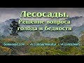 Лесосады - решение вопроса голода и бедности (рус.озвучка)