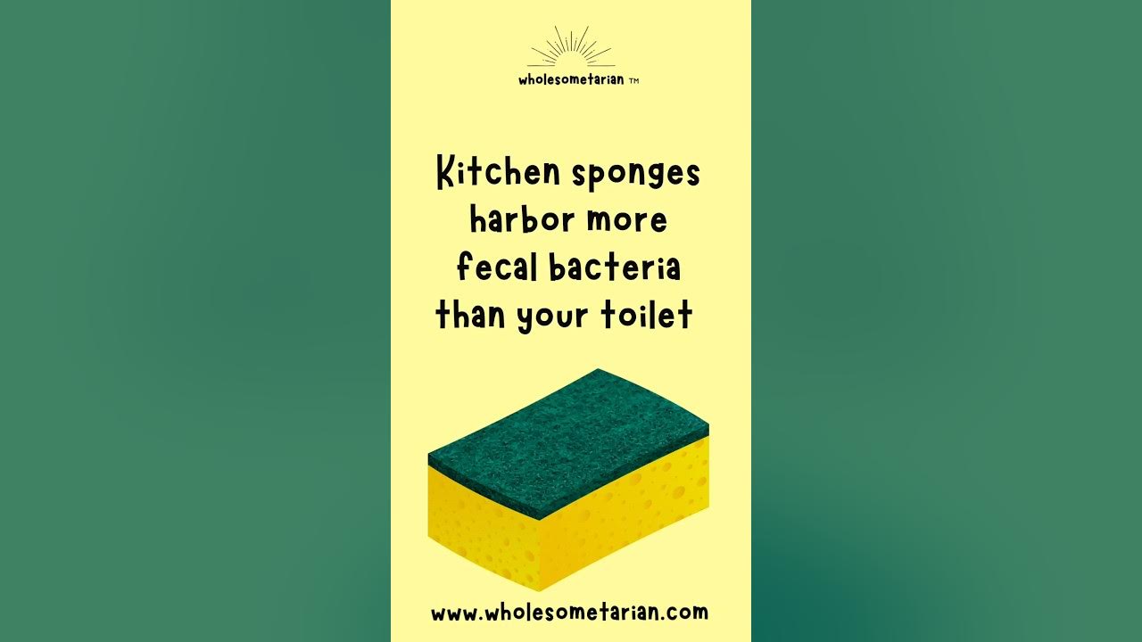 🚨 Kitchen sponge alert! 🚨 Did you know you should be swapping out your