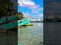 #florida #palmbeach #kayak #water #viral #shortvideo #cool #beautiful #youtubeshorts #wow #fun #yt