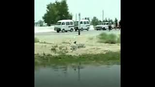 Fargonada suv omborida baliqlar suzip chiqmoqda