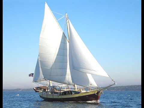 Hou me vast -  Harten 10  (officiele clip)