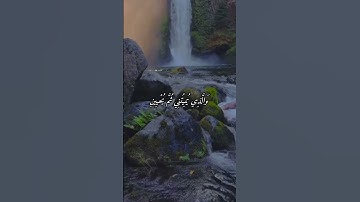 #القارئ محمد اللحيدان #اذكرالله #المصحف #اكسبلور #duet #لايك #راحة_نفسية #تيك_توك #حالات_واتس