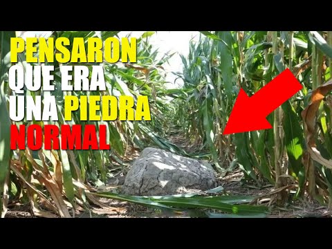 Video: ¿Cuál es la montaña más pequeña del mundo?