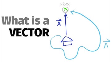 What is a Vector