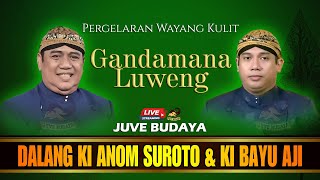 LIVE STREAMING WAYANG KULIT KI ANOM SUROTO DAN KI BAYU AJI - GANDAMANA LUWENG (rec)