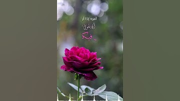 تلاوة من سورة يس للشيخ: صالح المقيطيب رحمه الله