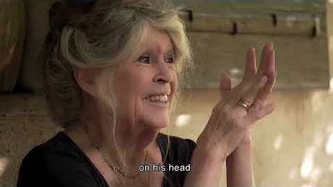 Brigitte Bardot - The Icon Who Walked Off Set Into the Wild - A rebel with a cause