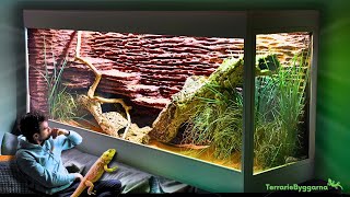 🌿I GOT A MASSIVE ENCLOSURE FOR MY BEARDED DRAGON | TERRAQUAMAN