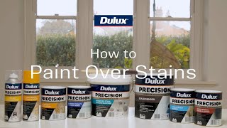 How to paint over stains on walls | Dulux PRECISION®