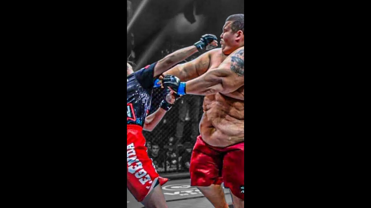 Chiseled Adonis Fight Commentary Compilation