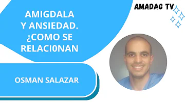 ¿La amígdala crece con la ansiedad?