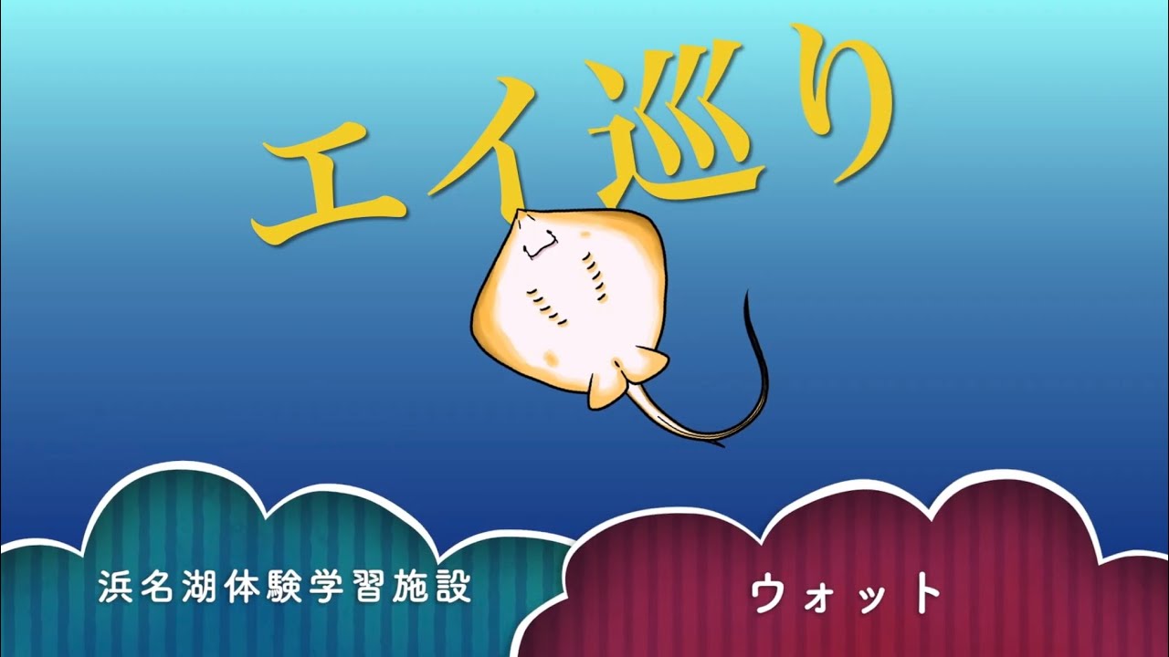 エイ巡り　浜名湖体験学習施設ウォット
