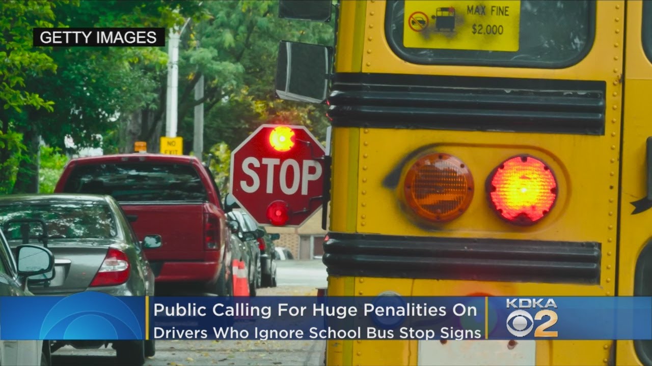 Public Calling For Huge Penalities On Drivers Who Ignore School Bus ...
