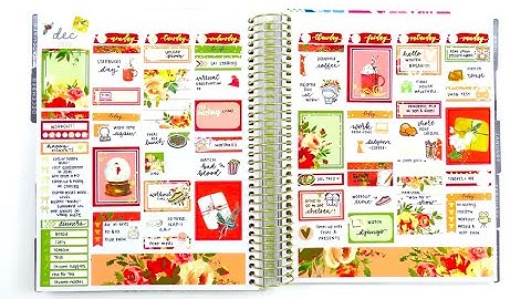 Plan with Me: Ft. Nikki Plus Three