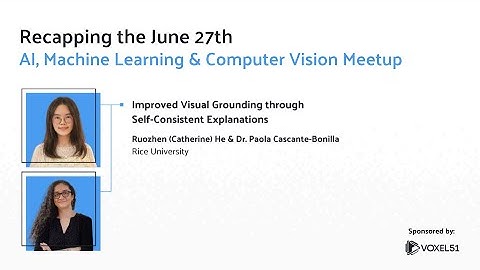 Computer Vision Meetup: Improved Visual Grounding through Self-Consistent Explanations