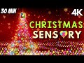Sensory Videos for Autism Christmas Calming Visuals Therapy Stimulation