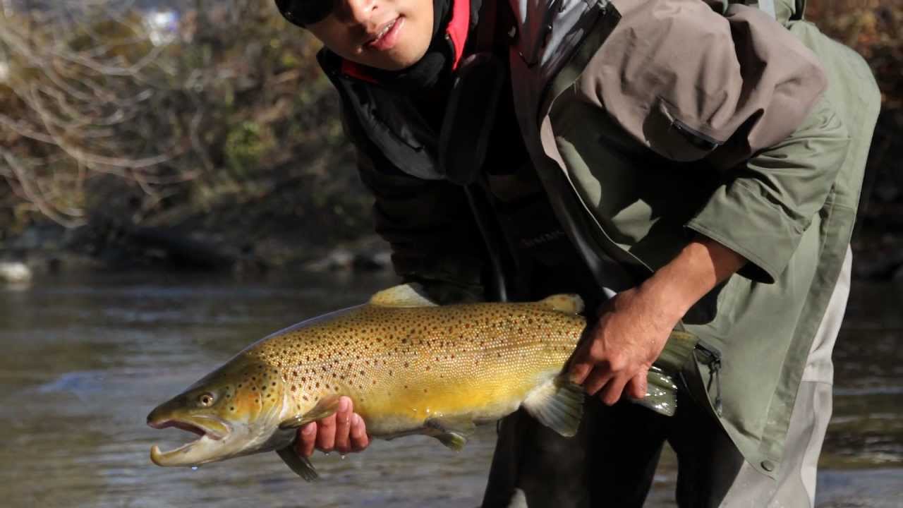 Snake River Prototyping BlurFix for GoPro Cameras