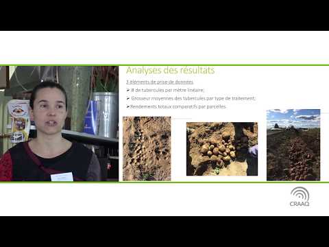 Vidéo: Comment les mycorhizes aident-elles dans l'agriculture?