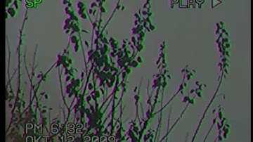 Wå†¢hêяꑄ           𐌉𐌍𐌅𐌉𐌍𐌉𐌕𐌙 ƒяєqυєη¢ιєѕ