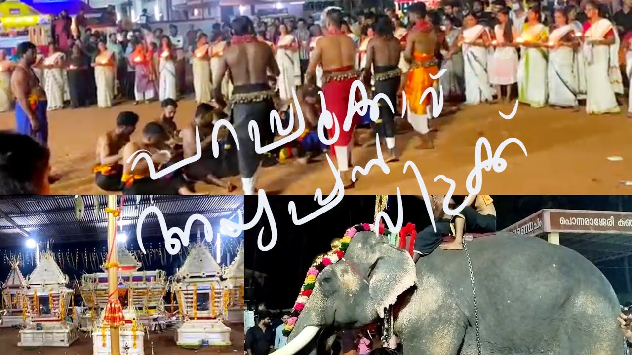 കേച്ചേരി പറപ്പൂക്കാവ് അയ്യപ്പൻ വിളക്ക് 🙏#longvideo #viralvideo #trending #ayyappaswamy 